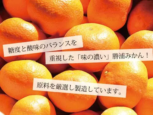 みかん ストレート ジュース 720ml 6本 果汁 柑橘 みかんジュース ミカンジュース みかんじゅーす オレンジジュース オレンジ 徳島 勝浦 ドリームチーム