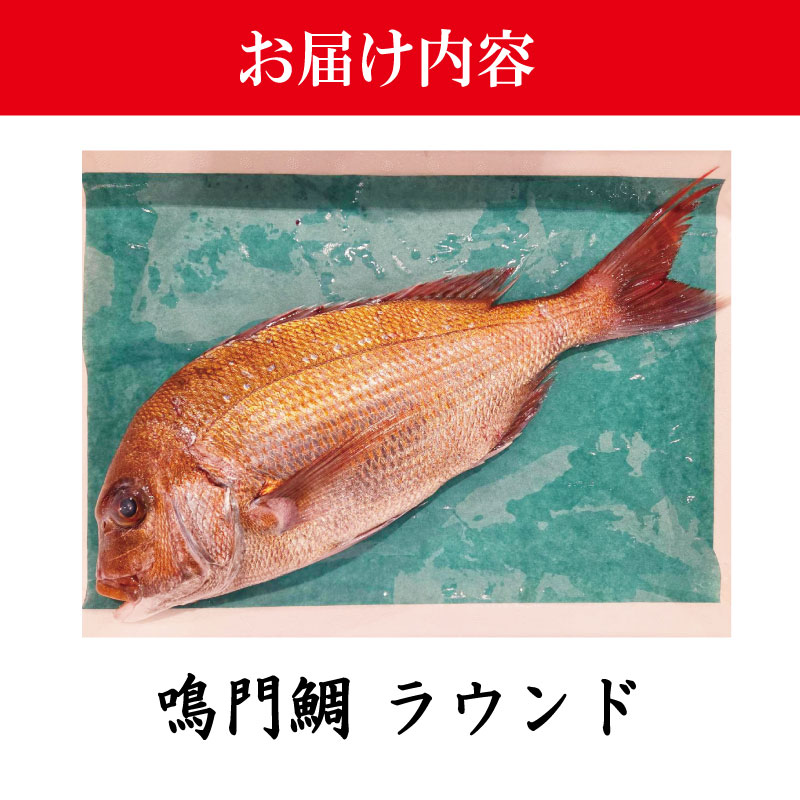 鳴門鯛 1kg 《 ラウンド 1尾 》 鯛 1尾 刺身 タイ 天然 鳴門 鯛 下処理 対応 塩焼き 鯛めし 祝い鯛 おせち 正月 しゃぶしゃぶ 鯛しゃぶ 鍋 年末年始 徳島 魚 市場