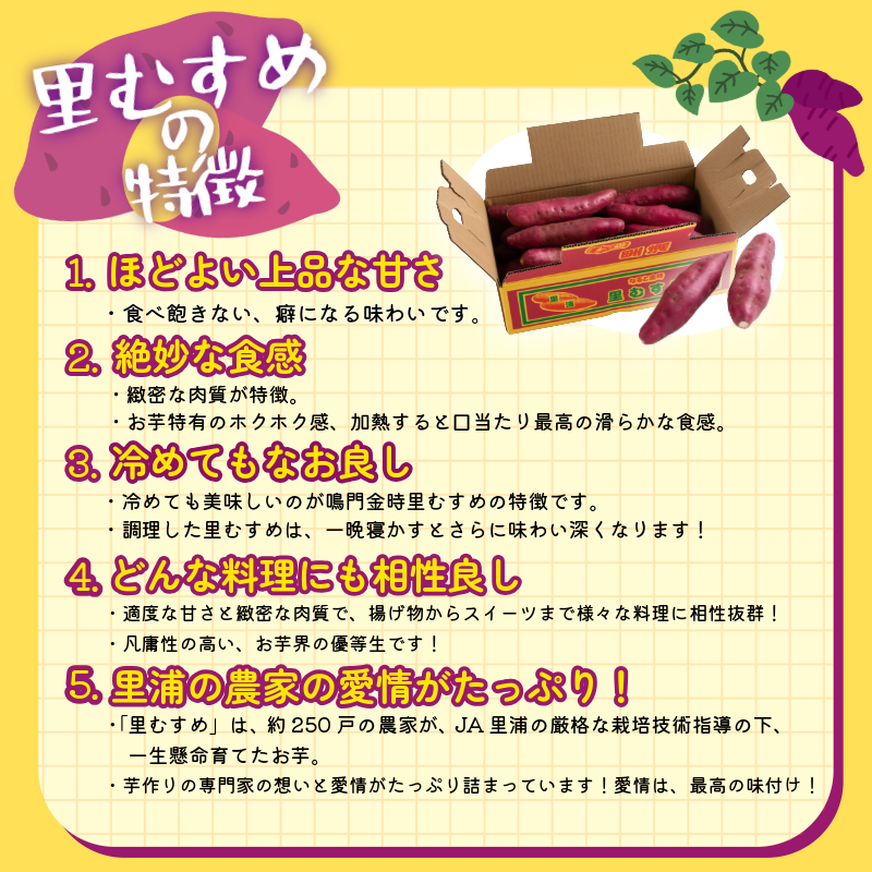 なると金時 里むすめ 5kg Mサイズ 11月発送 《 徳島と言えば なると金時 ！》 さつまいも 鳴門金時 いも 芋 焼き芋 干し芋 スイーツ 貯蔵庫 熟成 国産 ブランド お土産 徳島 鳴門