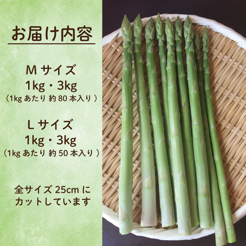 ã¢ã¹ãã©ã¬ã¹ Mãµã€ãº 3kg ã3æããåºè·éå§ïŒã ã¢ã¹ãã© ææ¡ã åŒåœ éè ã°ãªãŒã³ã¢ã¹ãã© ãµã©ã ããŒã³ã³ è±è å·»ã çã åœç£ æ¥éè æ°é®® ãããã㹠埳島 é¿å