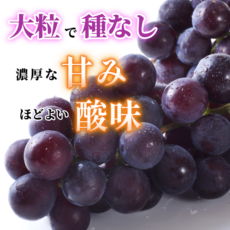 ããªãŒã 2æ¿ 1kg 7æäžæ¬ä»¥éé æ¬¡çºé ãã㊠è¡è ããªãŒã æ°é®® çã çŸå³ãã ãžã¥ãŒã·ãŒ ç£å°çŽé ã¶ã©ã çš®ç¡ã åœç£ 埳島ç ã7æäžæ¬ãã8æäžæ¬ãŸã§çºéã