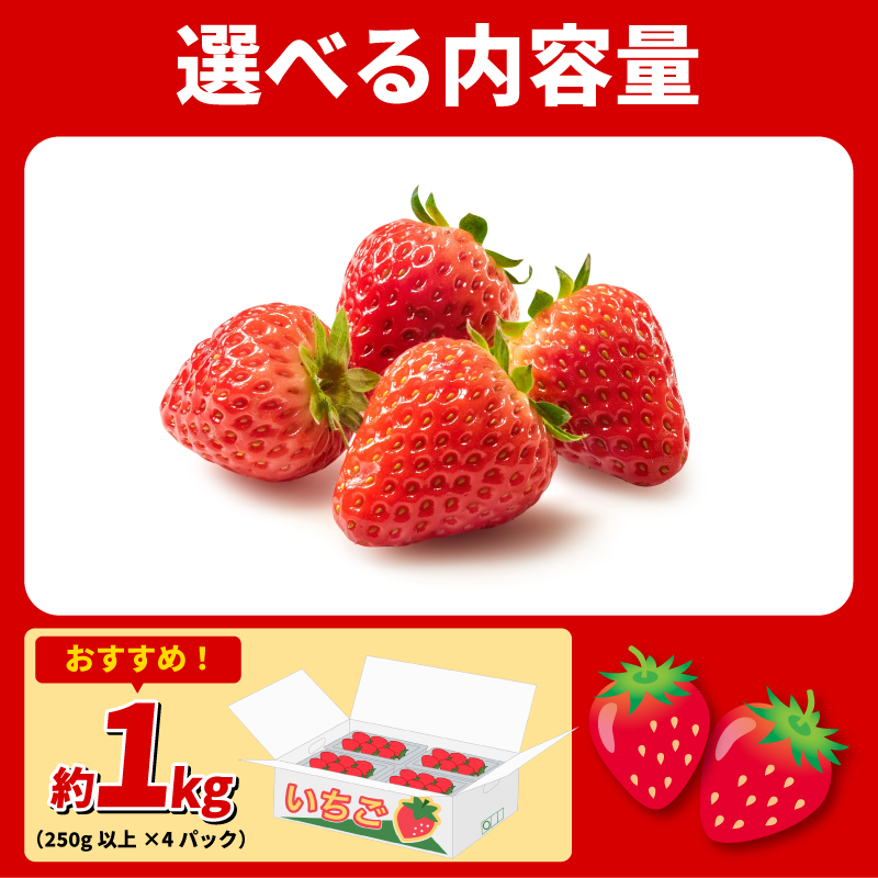 いちご 1㎏ さちのか 苺 イチゴ ストロベリー 数量限定 徳島県産 ichigo strawberry itigo 1月下旬より順次出荷 徳島県 