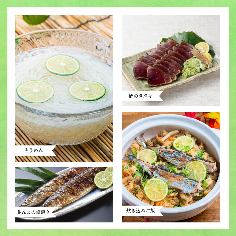 縺吶□縺。 1kg 蠕ウ蟲カ逵檎肇 8譛医°繧10譛域忰縺セ縺ァ逋コ騾 蜈郁。御コ育エ 鬲 繝帙ち繝 魄ュ 繧オ繝シ繝「繝ウ 縺輔ー 縺カ繧 縺セ縺舌m 縺縺ェ縺 縺輔s縺セ 蛻コ縺苓コォ 閧 迚帙ち繝ウ 繧ケ繝繝シ繧ュ 迚幄i 雎夊i 鮓剰i 縺昴≧繧√s 邀ウ 縺秘」ッ 蟇ソ蜿ク 繝代せ繧ソ 鬟溷酷 鬢蟄 驥手除 繝輔Ν繝シ繝 謳セ繧 豌エ 譫懃黄 繧ク繝・繝シ繧ケ 譟第ゥ 驟 繧ォ繧ッ繝繝ォ 繧オ繝ッ繝シ 縺オ繧九&縺ィ 蠕ウ蟲カ 縺輔↑縺ソ縺ゥ繧