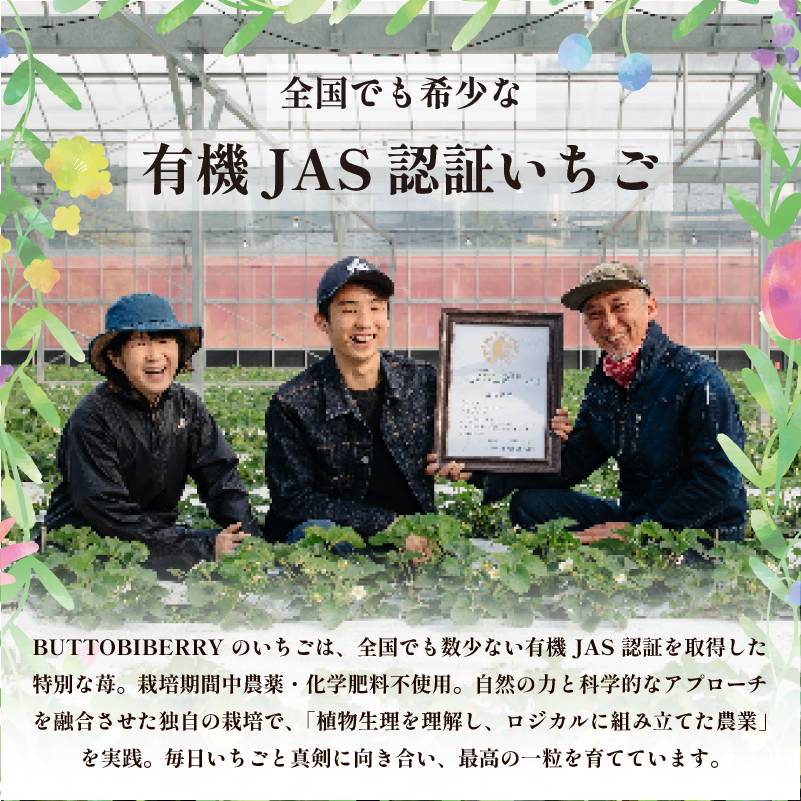 ãã¡ã ã¹ã ãŒãžãŒ ãããŒãºã³ 10å ãªãŒã¬ããã¯ èº ã¹ããããªãŒ ã¢ã€ã¹ ã·ã£ãŒããã ãã«ãŒã æç© ãã ãã® åœç£ æŽèå ã¹ã€ãŒã ãèå ãã〠埳島ç BUTTOBI BERRY COOL