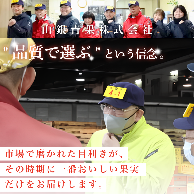 フルーツ 定期便 12ヶ月 果物 季節 旬 詰め合せ 国産 おまかせ 産地直送 シャインマスカット いちご みかん デコポン 桃 メロン 八朔 梨 柿 あたご柿 徳島