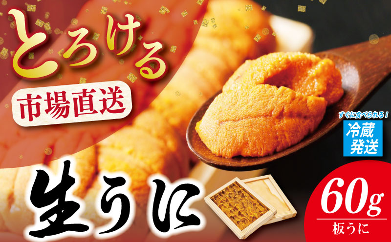 うに 60g 《 冷蔵発送！すぐに食べられる！》 生うに 板うに 雲丹 高級 魚介 海鮮 ウニ丼 米 寿司 冷蔵 お取り寄せ 人気 国産 徳島 魚市場