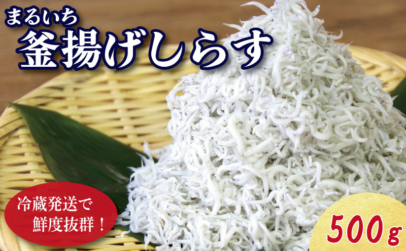 しらす 釜揚げ 500g 250g ×2袋 5月から12月中旬まで発送 小分け しらす干し 釜茹で シラス 米 こめ のお供 厳選 薄味 海鮮 鮮度 丼 おつまみ 酒の肴 海産物 小松島 徳島