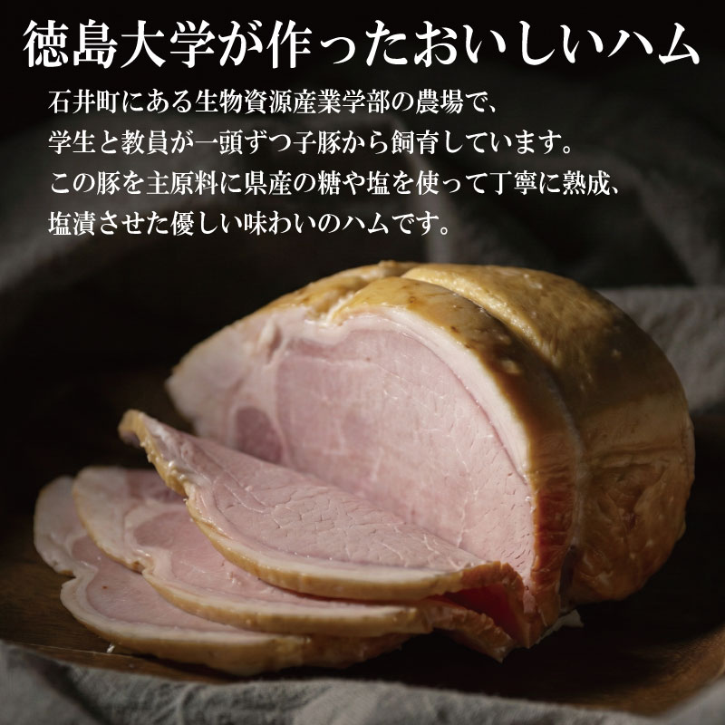 徳島大学 ハム ベーコン 計900g 熟成 ロースハム ベーコン 豚肉 豚 ぶた ブタ 加工品 お中元 お歳暮 年末 徳島大学 徳島県