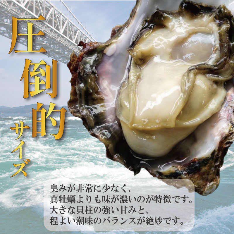 【2026年5月~2026年8月まで発送】牡蠣 生牡蠣 殻付き 20個 生食可 冷蔵 (ナイフ付き) 渦潮キング 岩牡蠣 かき カキ ブランド 旬 新鮮 海鮮 濃厚 料理 鍋 牡蠣鍋 カキフライ バーベキュー BBQ キャンプ おいしい TV テレビ 徳島県 鳴門市