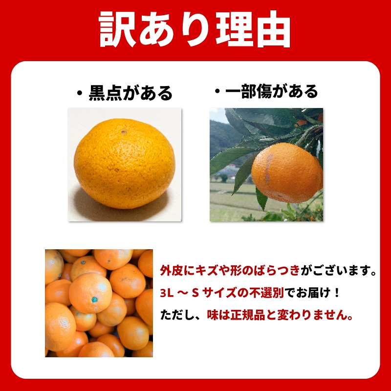 みかん 訳あり 4.2kg 4kg+傷み補償分200g 熟成 柑橘 フルーツ 果物 みかん ミカン みかん 蜜柑 訳ありみかん 家庭用 オレンジ 1万円未満 徳島県 勝浦町 佐那河内村 5000円以下 5000円