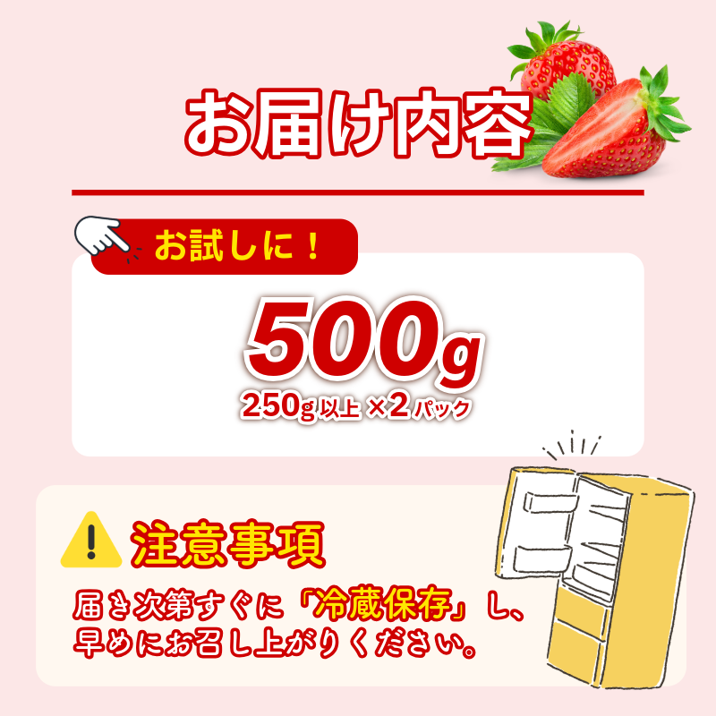 ã å
è¡äºçŽ ã ãã¡ã 500g çŽ
ã»ã£ãº èº ã€ã㎠ã¹ããããªãŒ æ°ééå® 1äžåæªæº 埳島çç£ strawberry ichigo itigo 2æäžæ¬ããé æ¬¡åºè· 埳島ç