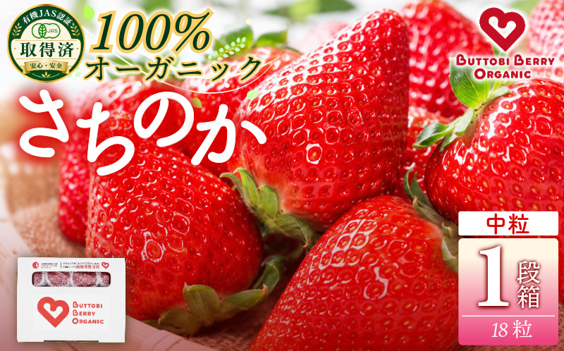 オーガニック いちご 中粒 約18粒 《1月末から5月発送》 有機JAS認証 ORGANIC 甘い 苺 果物 フルーツ 産地直送 新鮮 ストロベリー ジャム スムージー 期間限定 徳島