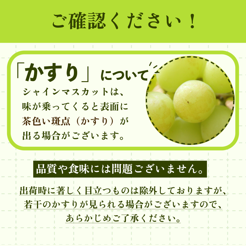 シャインマスカット 2kg 3～5房 8月末から9月上旬まで発送 マスカット 果物 くだもの フルーツ シャインマスカット 種なし 種無し ぶどう 厳選 旬 国産 徳島県