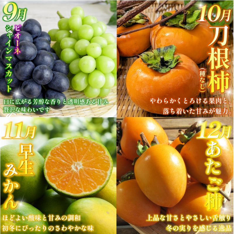 旬の果実 定期便 12回 フルーツ 果物 野菜 季節 旬 詰め合せ 国産 おまかせ 産地直送 シャインマスカット いちご みかん キウイ 不知火 トマト ピオーネ 梨 柿 徳島県