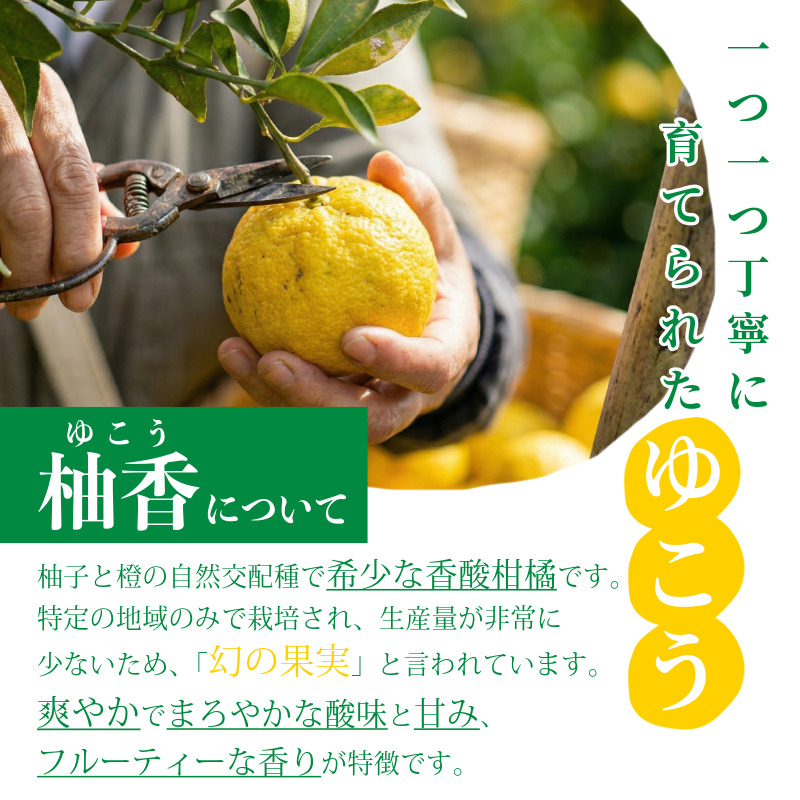 ゆこう 有機JAS認証 ゆこう果汁 2本 1本720ml ゆこう 柚香 果汁100％ 有機 調味料 冷蔵便 柑橘 国産 徳島県 上勝町 
