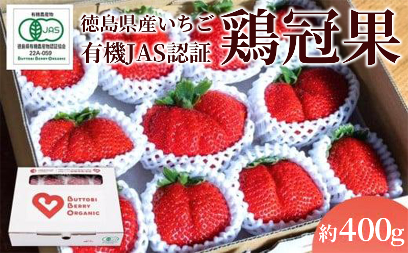 [2025年1月より順次発送]とくしまオーガニックいちご(鶏冠果)(400g)