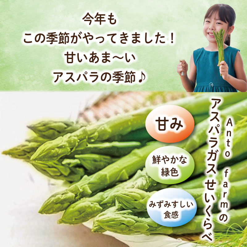 ã¢ã¹ãã©ã¬ã¹ Lãµã€ãº 1kg ã3æããåºè·éå§ïŒã ã¢ã¹ãã© ææ¡ã åŒåœ éè ã°ãªãŒã³ã¢ã¹ãã© ãµã©ã ããŒã³ã³ è±è å·»ã çã åœç£ æ¥éè æ°é®® ãããã㹠埳島 é¿å