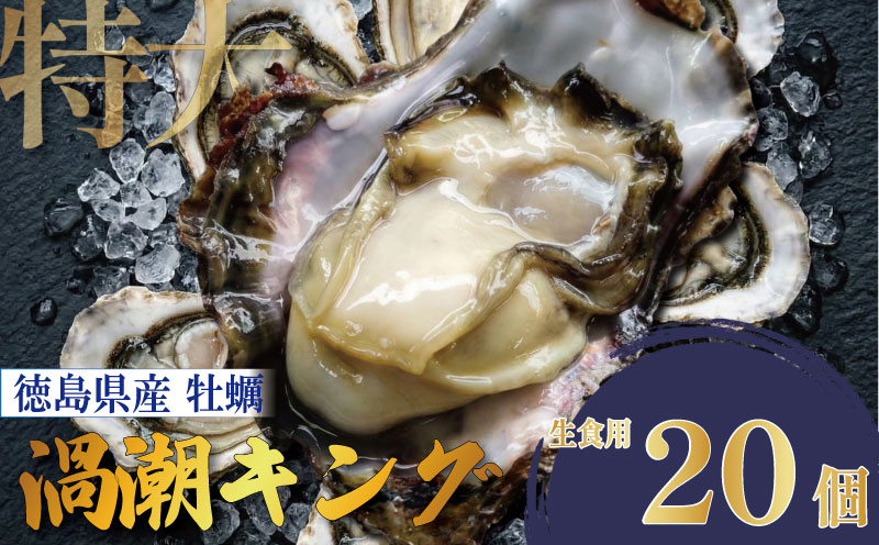 【2026年5月~2026年8月まで発送】牡蠣 生牡蠣 殻付き 20個 生食可 冷蔵 (ナイフ付き) 渦潮キング 岩牡蠣 かき カキ ブランド 旬 新鮮 海鮮 濃厚 料理 鍋 牡蠣鍋 カキフライ バーベキュー BBQ キャンプ おいしい TV テレビ 徳島県 鳴門市