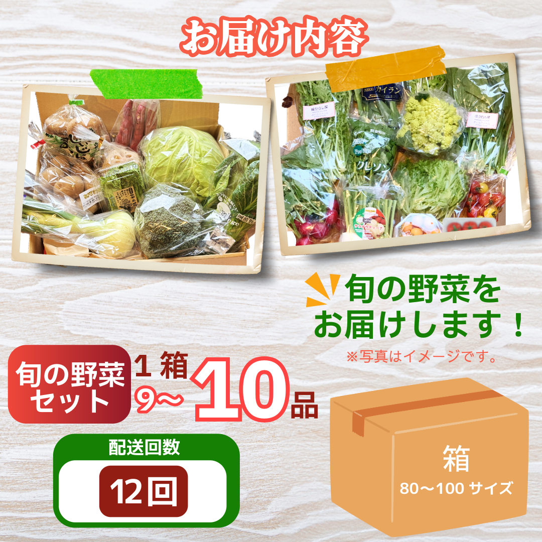 野菜 セット 9～10品 定期便 12回 季節 旬 野菜 詰め合せ 国産 季節 旬 おまかせ 産地直送 春野菜 夏野菜 秋野菜 葉物 果物 果菜 根菜 冷蔵 野菜室 ダイエット 食 栄養食 加工品 カット野菜
