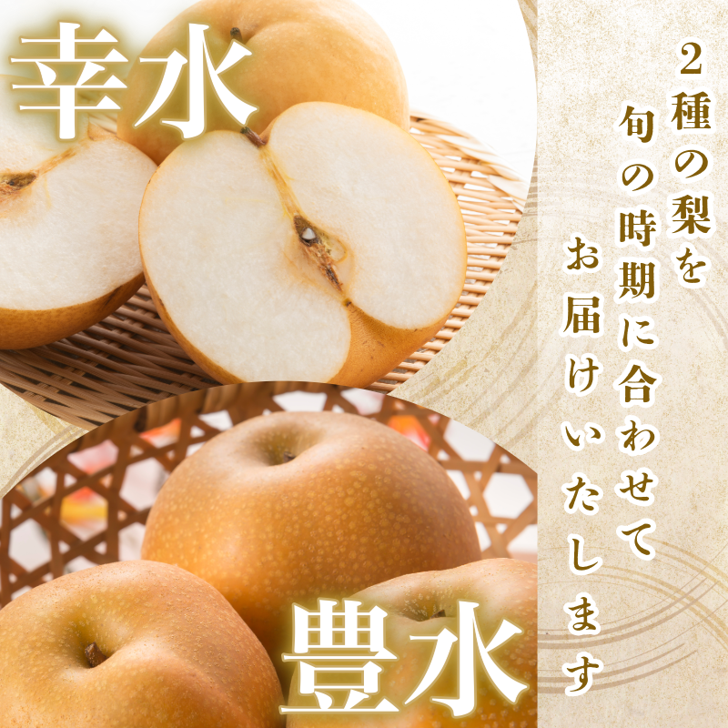 ã8æäžæ¬ãã9æäžæ¬ãŸã§çºéã æ¢š 5kg è±æ°Ž 幞氎 容é éžã¹ã ãã«ãŒã æç© ãªã é£ã¹æ¯ã¹ æ¬ åœç£ å³éž 埳島ç