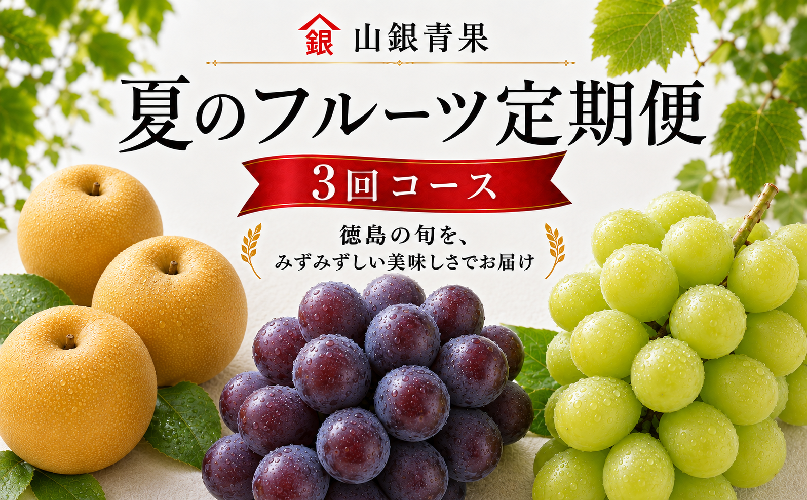 フルーツ 定期便 3回 フルーツ定期便 果物 シャインマスカット 梨 ピオーネ フルーツ ぶどう 巨峰 なし マスカット 季節 旬 詰め合せ 国産 おまかせ 産地直送 徳島県 徳島 山銀青果