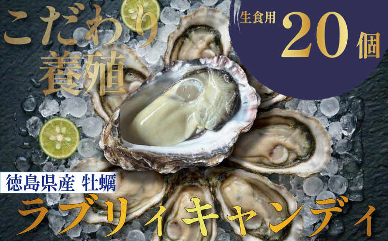 【先行予約】 牡蠣 生牡蠣 殻付き 20個 生食可 冷蔵 (ナイフ付き) ラブリィキャンディ 真牡蠣 かき カキ ブランド 旬 新鮮 海鮮 濃厚 料理 鍋 牡蠣鍋 カキフライ バーベキュー BBQ キャンプ おいしい TV テレビ 徳島県 鳴門