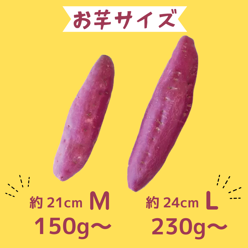 ãã€ãŸãã 鳎ééæ 5kg 2025幎12æçºé ãªããšéæ Mãµã€ãº éããã è éè ã¹ã€ãŒã ã¹ã€ãŒã ãããã¹ æ£ ç®± è©°ã çŽ
çã ãèå éæ å€§åŠ çš®é¡ ç 調ç å¹²ãè çŒãè ãã¯ã㯠ã±ãŒã ç£å°çŽé é» ãµãããš ã®ãã 幎 æ¥ åŸ³å³¶ 鳎é