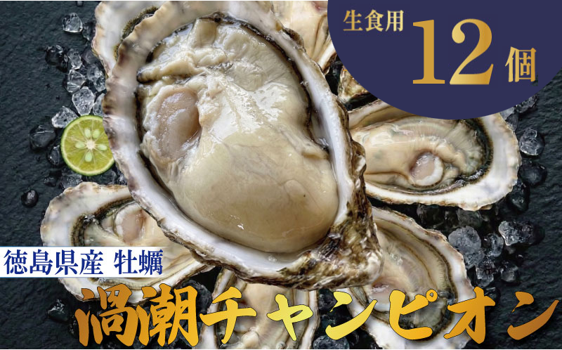 【2026年9月~2026年12月まで発送】牡蠣 生牡蠣 殻付き 12個 生食可 冷蔵 (ナイフ付き) 渦潮チャンピオン 真牡蠣 かき カキ ブランド 旬 新鮮 海鮮 濃厚 料理 鍋 牡蠣鍋 カキフライ バーベキュー BBQ キャンプ おいしい TV テレビ 徳島県 鳴門