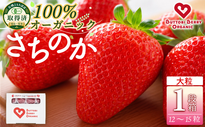 オーガニック いちご 大粒 約12～15粒 《1月末から5月発送》 有機JAS認証 ORGANIC 甘い 苺 果物 フルーツ 産地直送 新鮮 ストロベリー ジャム スムージー 期間限定 徳島