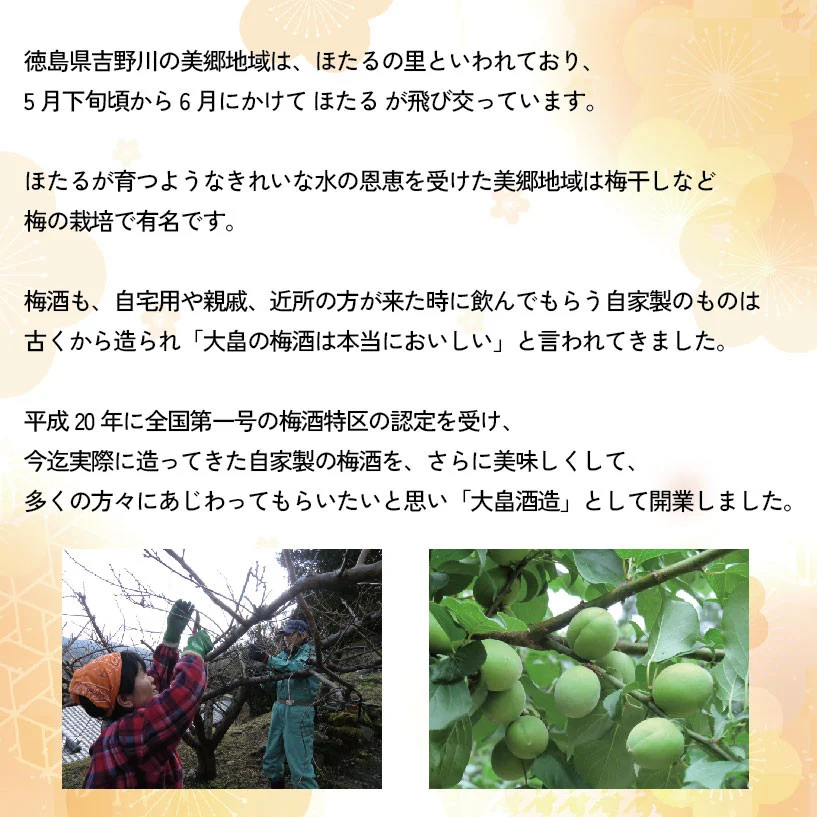 梅酒 治三郎 720ml 辛口 お酒 酒 リキュール アルコール 25% 梅 うめ 果物 フルーツ ギフト 母の日 父の日 プレゼント 贈り物 贈答 お中元 お歳暮 送料無料 国産 吉野川市 徳島県 ドリームチーム
