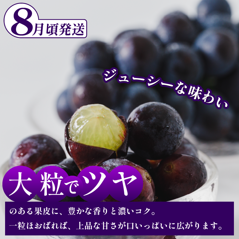 フルーツ 定期便 全3回 シャインマスカット ピオーネ デラウエア ぶどう 巨峰 ギフト 果物 夏 徳島県産 産地直送 新鮮 食べ比べ 3ヶ月