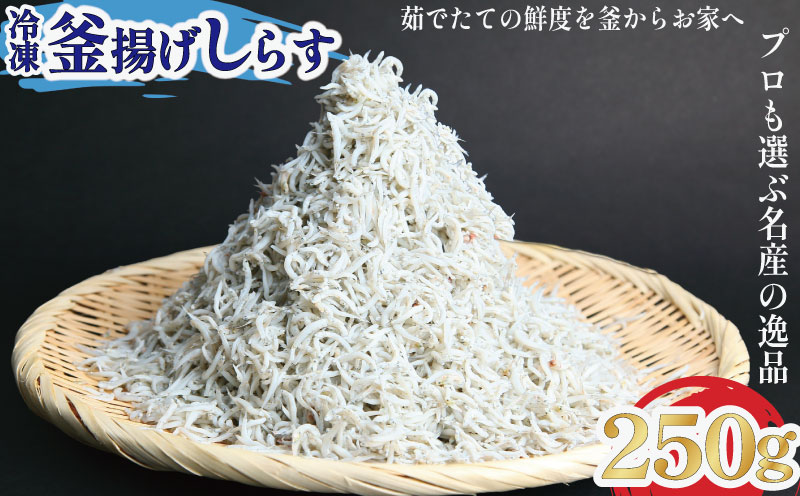釜揚げ しらす 250g 冷凍 鮮度 産地直送 しらす丼 海鮮 海鮮丼 魚介 魚 オススメ 小分け 人気 定番 ご飯