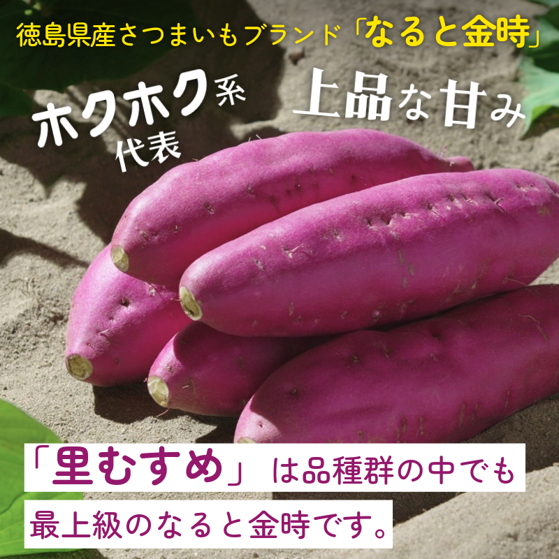 冷やし 焼き芋 1.2kg 里むすめ 《マツコの知らない世界で紹介！》 なると金時 ブランド 里むすめ 鳴門金時 いも さつまいも おやつ 甘い 野菜 冷蔵 なると 道の駅 徳島県 鳴門市 ドリームチーム