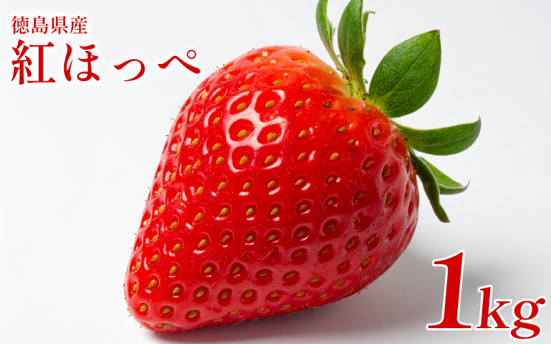 いちご 1㎏ 紅ほっぺ 苺 イチゴ ストロベリー 数量限定 徳島県産 ichigo strawberry itigo 1月下旬より順次出荷 徳島県