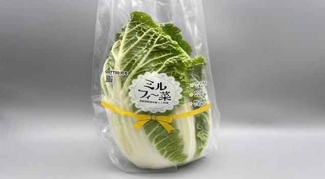 【2024年12月以降順次発送】ミニ白菜「ミルフィ〜菜」６個セット