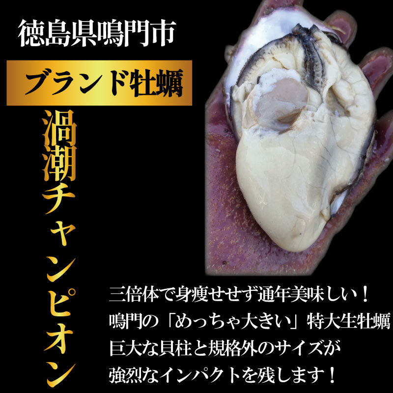 【2026年9月~2026年12月まで発送】牡蠣 生牡蠣 殻付き 12個 生食可 冷蔵 (ナイフ付き) 渦潮チャンピオン 真牡蠣 かき カキ ブランド 旬 新鮮 海鮮 濃厚 料理 鍋 牡蠣鍋 カキフライ バーベキュー BBQ キャンプ おいしい TV テレビ 徳島県 鳴門