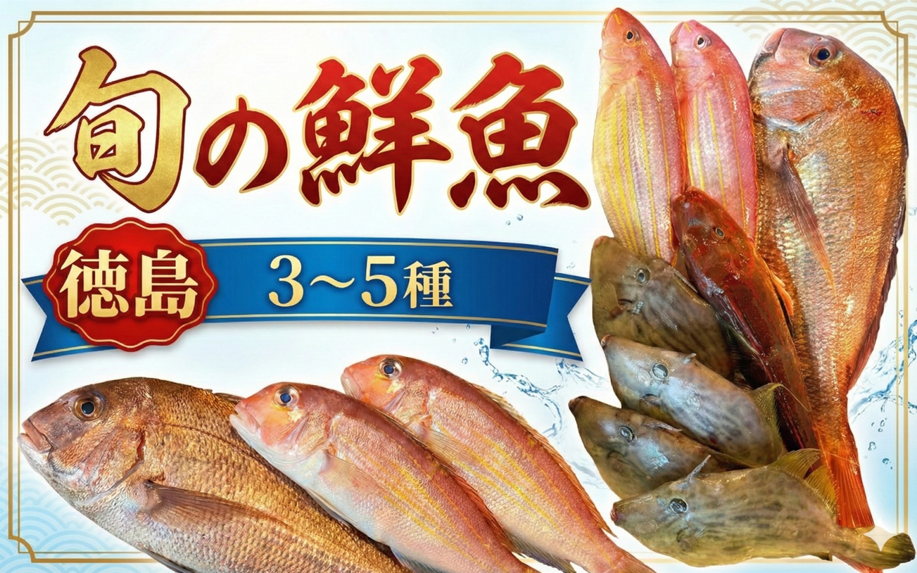 鮮魚BOX 3～5種 刺身 刺し身 旬 海鮮 鮮魚 魚介 焼き 煮付け 炙り カルパッチョ 寿司 丼 おつまみ おかず ご飯に合う 米に合う コメに合う 家庭用 父の日 高級 冷蔵 徳島 馬地鮮魚