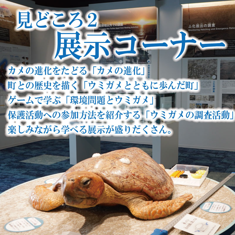 譌・蜥御ス舌≧縺ソ縺後a蜊夂黄鬢ィ繧ォ繝ャ繝繧ソ 蜈・鬢ィ蛻ク 螟ァ莠コ2蜷榊 縺縺ソ縺後a 繧ヲ繝溘ぎ繝。 豬キ莠 縺九a 繧ォ繝。 莠 蜊夂黄鬢ィ 繝√こ繝繝 鄒取ウ「逕コ 蠕ウ蟲カ逵 繝峨Μ繝シ繝繝√シ繝