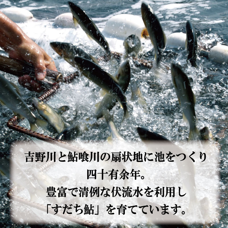 すだち 鮎 1kg 5月中旬から8月末まで発送 あゆ 冷蔵 すだち果汁 塩焼き 甘露煮 米 お米 ご飯 と一緒に うなぎ 鮭 かつお に負けない 魚 川魚 柑橘 BBQ 酒 つまみ 養殖 徳島