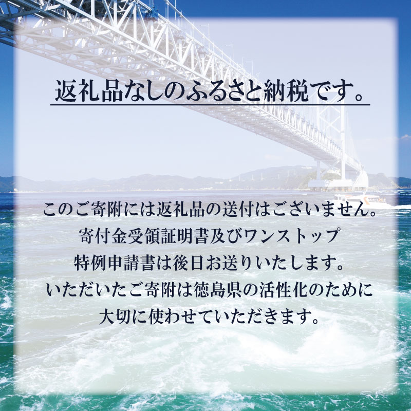 【返礼品なし】 徳島県への寄附 徳島県 ふるさと納税応援寄附 1口 10,000円から 応援 支援 寄付 寄附 ふるさと納税 観光 とくしま 徳島 