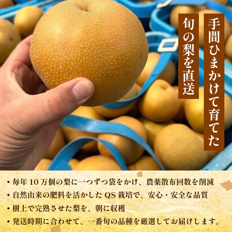 ã2026幎å
è¡äºçŽã梚 ãªã ãå®¶åºçš 2.5kgä»¥äž 5ã8ç 2026幎 8æé 次çºé ãããããã¢ãŒ æç© ãã«ãŒã ãã¶ãŒã æ¬ æ°é®® å£ç¯ ç§ äººæ° ãããã ã®ãã ãã¬ãŒã³ã èŽç èŽãç© å®¶åºçš æééå® éæç¡æ 鳎é 埳島