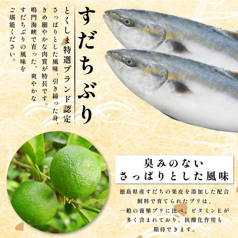 ぶり ラウンド すだちぶり 丸ごと1本 約3kg 冷蔵 徳島 養殖 ブランド鰤 鰤 ブリ お正月 buri 豪華 海鮮 魚 ふるさと納税