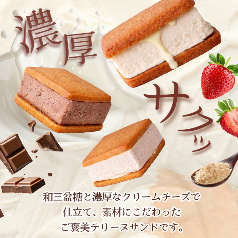 テリーヌサンド フロマージュ 6個 各種2個 プレーン いちご チョコレート 純苺 和三盆 個包装 日出蔵 おやつ セット 詰合せ 詰め合わせ 3種類 洋菓子 焼菓子 お菓子 冷凍 徳島県 ドリームチーム