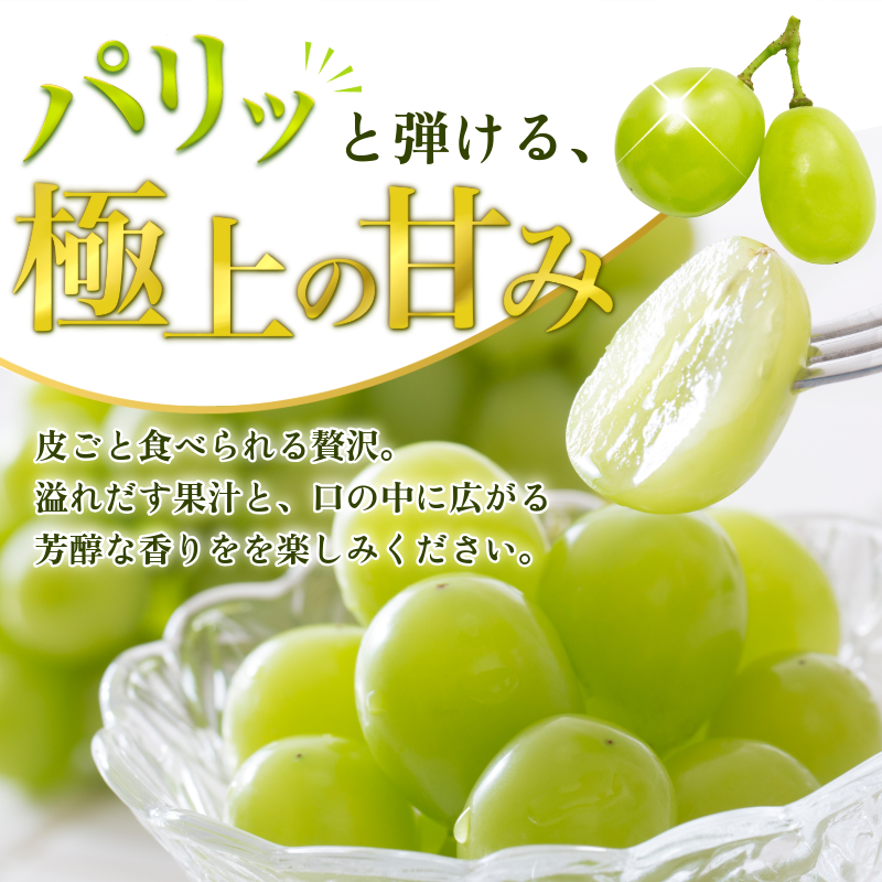 シャインマスカット 2kg 3～5房 8月末から9月上旬まで発送 マスカット 果物 くだもの フルーツ シャインマスカット 種なし 種無し ぶどう 厳選 旬 国産 徳島県