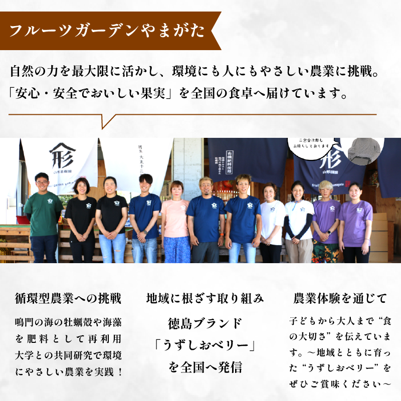 ã2026幎å
è¡äºçŽã梚 ãªã ãå®¶åºçš 2.5kgä»¥äž 5ã8ç 2026幎 8æé 次çºé ãããããã¢ãŒ æç© ãã«ãŒã ãã¶ãŒã æ¬ æ°é®® å£ç¯ ç§ äººæ° ãããã ã®ãã ãã¬ãŒã³ã èŽç èŽãç© å®¶åºçš æééå® éæç¡æ 鳎é 埳島