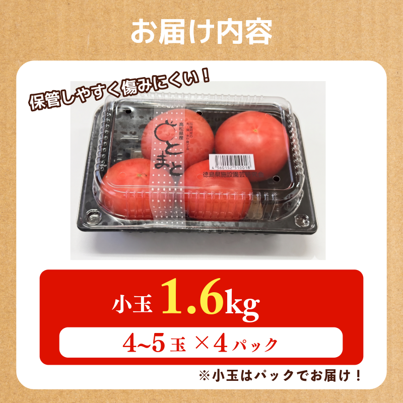 ããã 4ãã㯠1.6kg å°ç ãšãŸãš 4æïœ6æçºé éè ããã åœç£ ç£å°çŽé æ°ééå® 1äžåæªæº æ¬ åŸ³å³¶çç£ tomato ãµã©ã ãããã 埳島ç