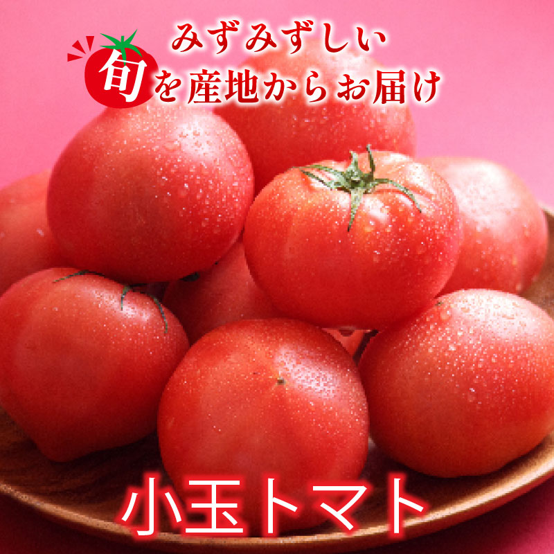 ããã 4ãã㯠1.6kg å°ç ãšãŸãš 4æïœ6æçºé éè ããã åœç£ ç£å°çŽé æ°ééå® 1äžåæªæº æ¬ åŸ³å³¶çç£ tomato ãµã©ã ãããã 埳島ç