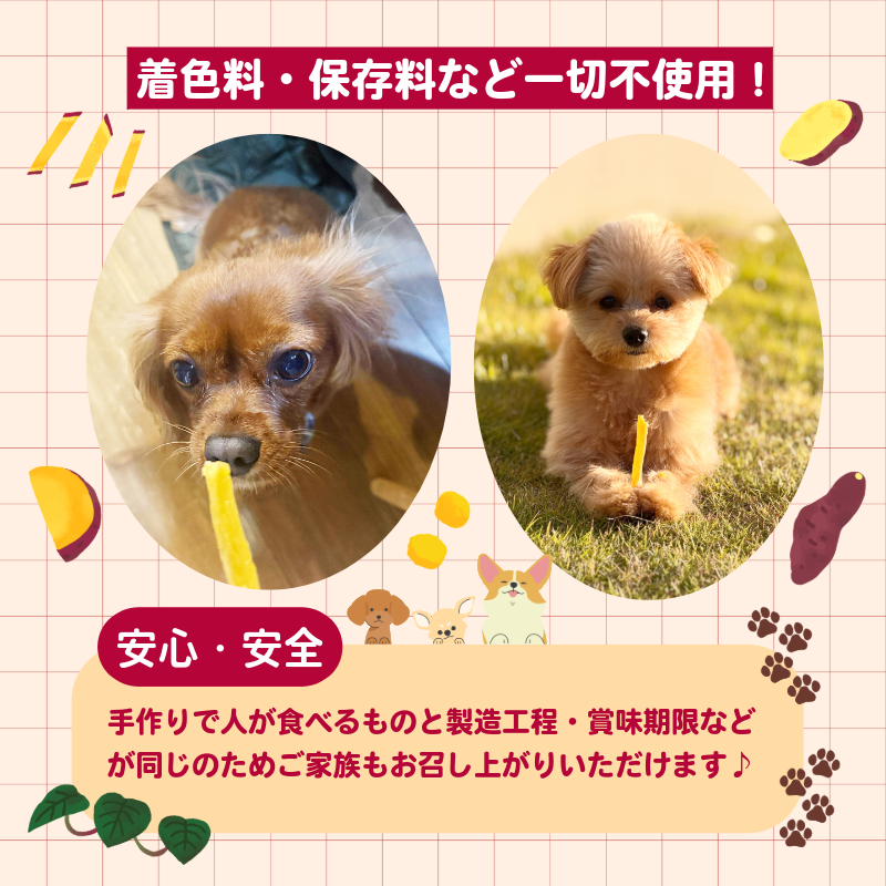 犬用 干し芋 200g 干し芋 干しいも 鳴門金時 さつまいも スイーツ お菓子 おやつ ほしいも 国産 徳島県 人気 プレゼント ギフト さつまいも 芋 おやつ 和菓子 いも イモ