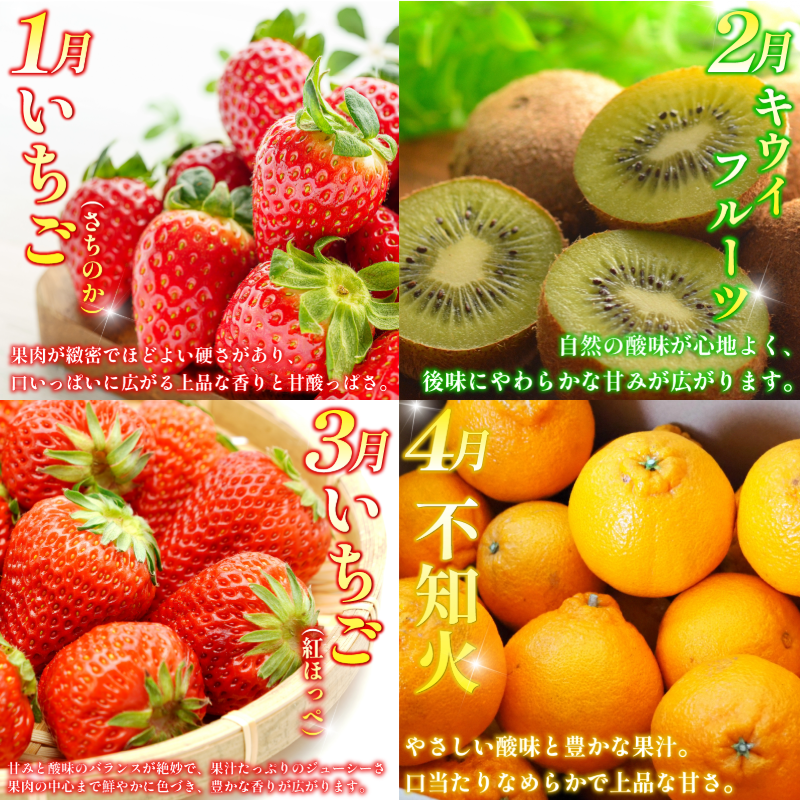 旬の果実 定期便 12回 フルーツ 果物 野菜 季節 旬 詰め合せ 国産 おまかせ 産地直送 シャインマスカット いちご みかん キウイ 不知火 トマト ピオーネ 梨 柿 徳島県