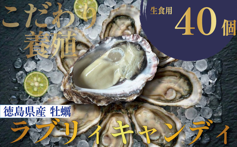 【先行予約】 牡蠣 生牡蠣 殻付き 40個 生食可 冷蔵 (ナイフ付き) ラブリィキャンディ 真牡蠣 かき カキ ブランド 旬 新鮮 海鮮 濃厚 料理 鍋 牡蠣鍋 カキフライ バーベキュー BBQ キャンプ おいしい TV テレビ 徳島県 鳴門
